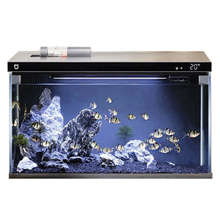 Аквариумистика