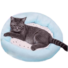 Лежаки, домики и спальные места