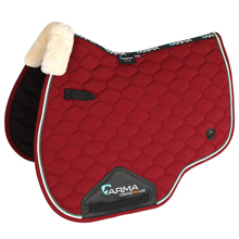 Конный спорт